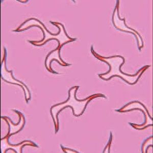 Meet your Posher, Charlie